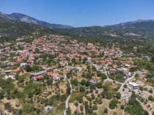 Ανδρωνιάνοι_0596